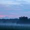 pinelands morning