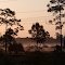 Febuary Sunrise