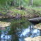 Spring along SantaFe river