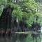 The Honey Hole!