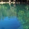 Spring off of Holmes Creek