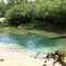 Washington Blue Spring