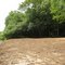 Choctawhatchee river 1