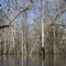 Near Tilley Landing