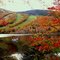      Nature is painting with fall colors..!! Η φυση χρωματιζει με τα χρωματα του Φθινοπωρου...!!!!
