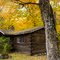 Rustic log Cabin