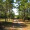 Along the Bluefield Ranch trail.