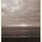 Florida, Sarasota Turtle Beach 2011:01:05