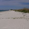 North Casey Key Beach