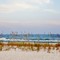 Sunset at Pensacola Beach