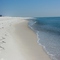 Undisturbed paradise(Pensacola Beach)