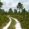 Gulf Breeze, Florida - Naval Live Oaks Gulf Islands National Seashore - August 2008