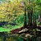 Withlacoochee River Autumn