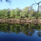 The Trails Airpark, Suwanneee River Looking South