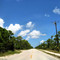 Pine Key