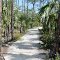 Florida Key's: Big Pine Deer Refuge - to protect and preserve last population of Key deer's