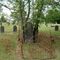 Paperville Cemetery