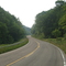 Looking up along Campground Road