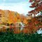 Summit Lake in the Fall