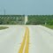 orange grove near Frostproof FL (March 2011)