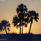 (messi94) Forida, St. Petersburg – Treasure Island [270°]