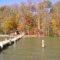 Dock