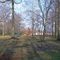Phillips Park