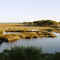 St. Marks wildlife refuge