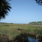 Lake Leon, Near the extict town of Port Leon, FL.