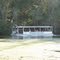 Wakulla Springs