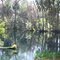 Sheppard Springs
