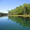 Wakulla River - looking north