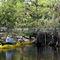 Kempfer Rd bridge Jane Green Creek