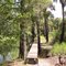 Footbridge along part of Florida Trail in Bull Creek WMA