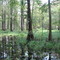 The inside