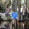 SJRWMD Spade Island Campsite - Almost Under Water This Day