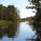 Flooded Airboat Trail