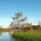 High Water Airboat Trail