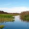 Airboat Trail