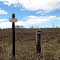 No Trespassing West of These Signs