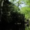 Durbin Creek View 5