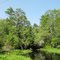 Durbin Creek View 12