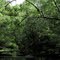 Durbin Creek View 20