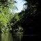 Julington Creek View 1