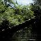 Julington Creek View 3