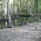 Durbin Creek Put In