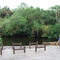 Little Manatee River State Park - Canoe Launch