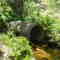 Giant pipe-Bullfrog Creek Mit. Park