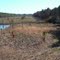 from atop a spoil mound: Balm-Boyette Presv.