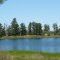 Borrow lake at Golden Aster prsv.